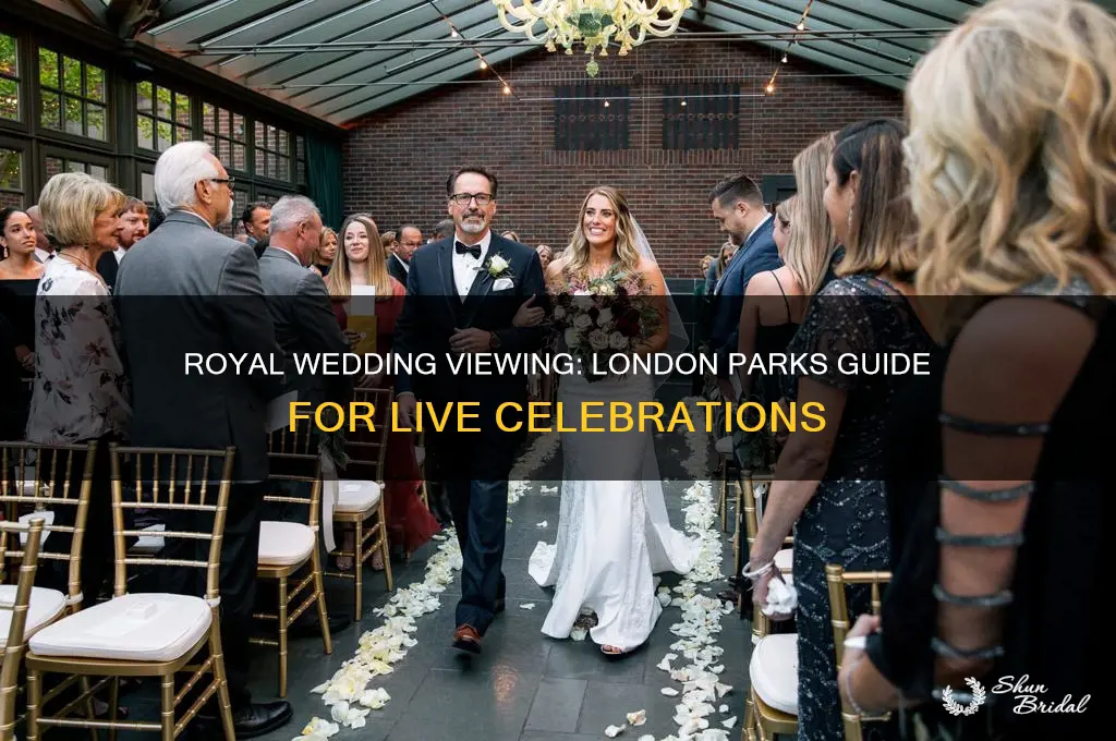 where to watch royal wedding london parks