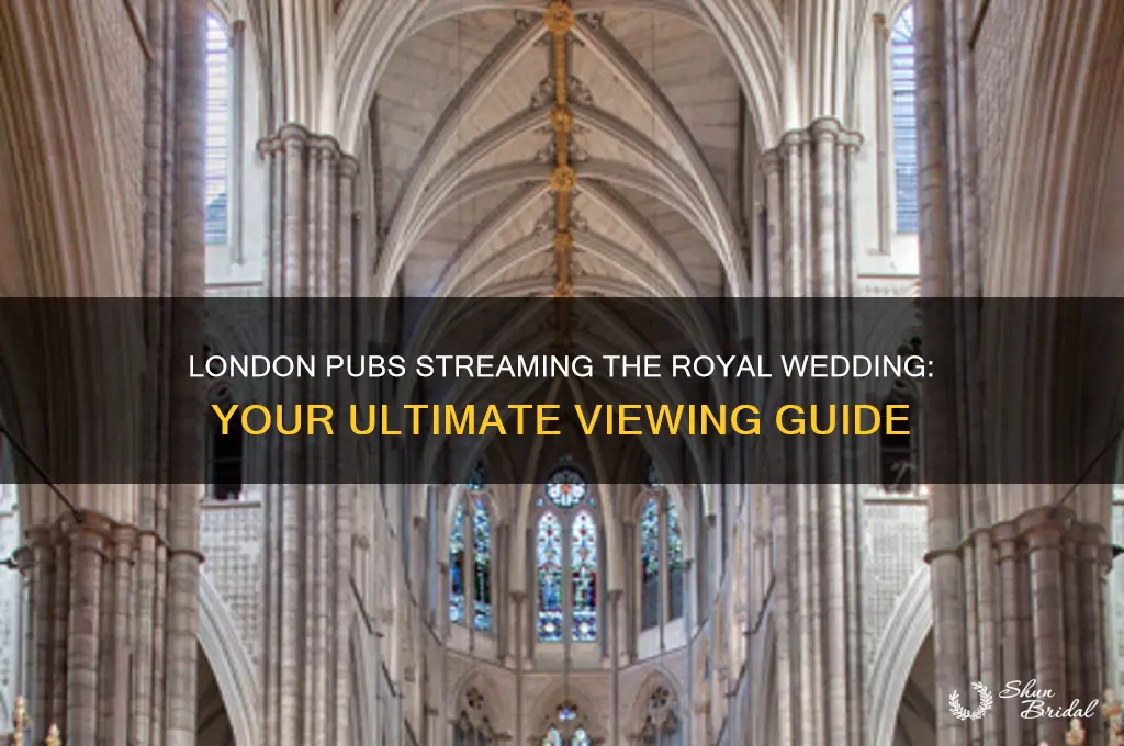 where to watch royal wedding london pub