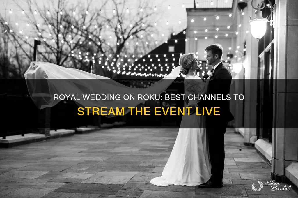 where to watch royal wedding on roku