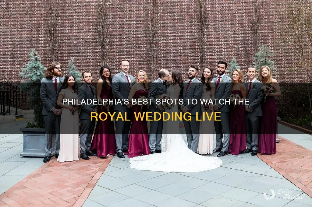 where to watch royal wedding philadelphia