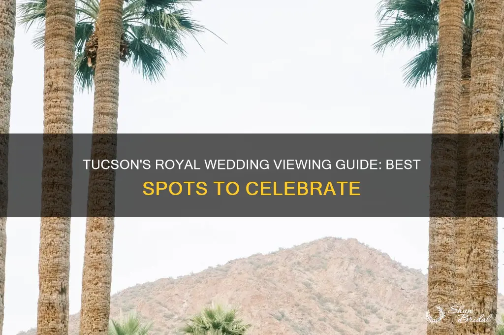 where to watch royal wedding tucson