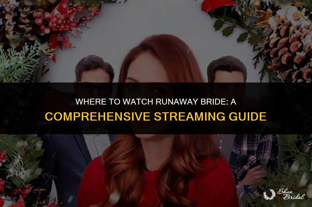 where to watch runaway bride