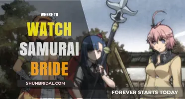 Exploring the Best Platforms to Stream Samurai Bride Online
