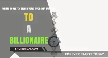 Where to Watch Silver Vows: Suddenly Married to a Billionaire