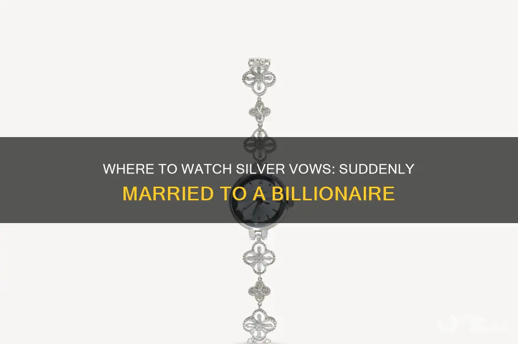 where to watch silver vows suddenly married to a billionaire