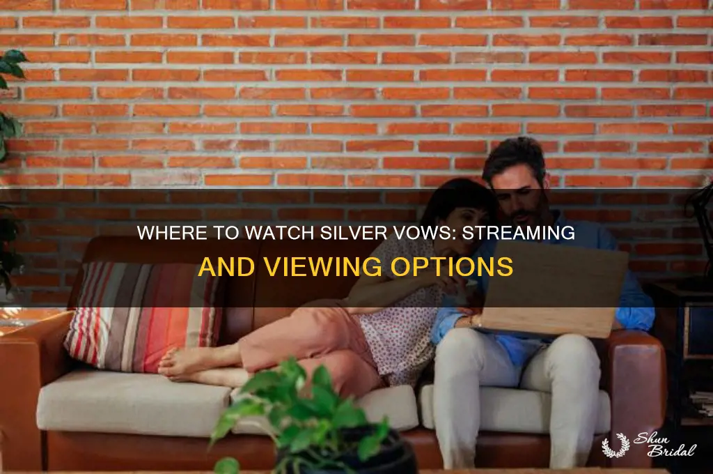 where to watch silver vows