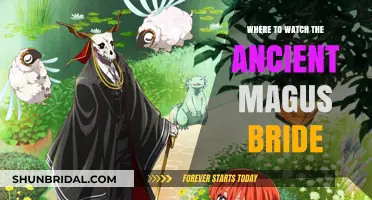 Exploring the Enchanting World of 'The Ancient Magus Bride': Where to Watch