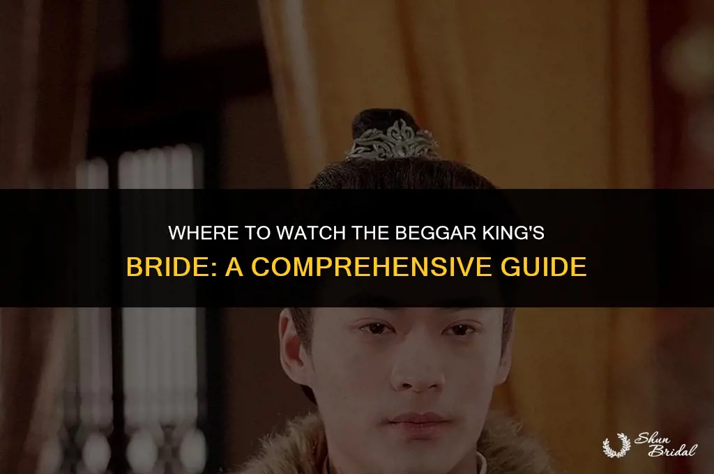 where to watch the beggar king