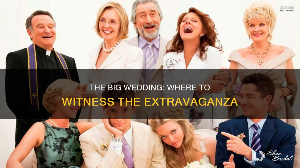 where to watch the big wedding