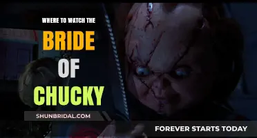 Unveiling the Best Spots to Stream 'The Bride of Chucky