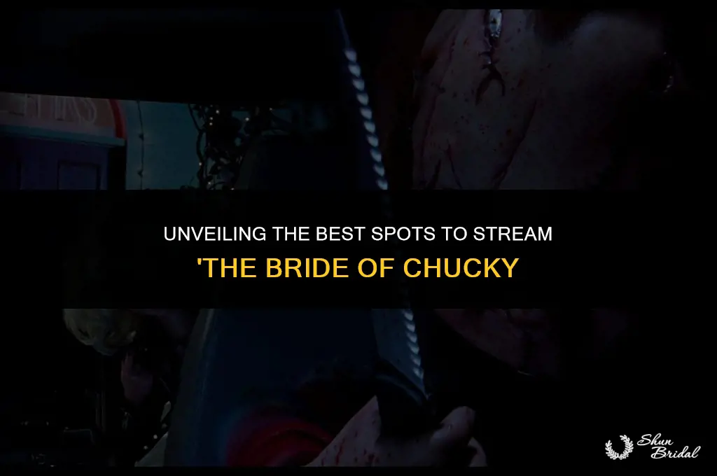 where to watch the bride of chucky