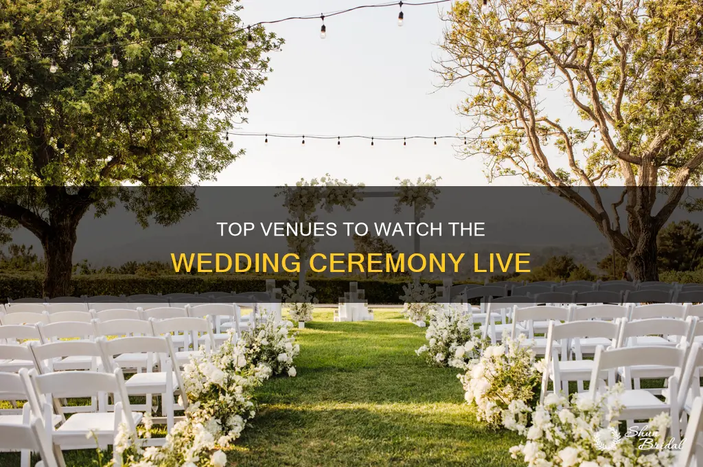 where to watch the ceremony of the wedding