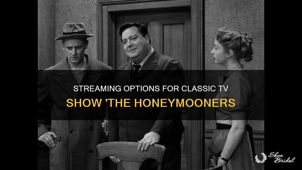 where to watch the honeymooners tv show