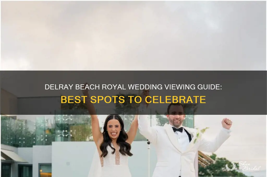 where to watch the royal wedding delray beach