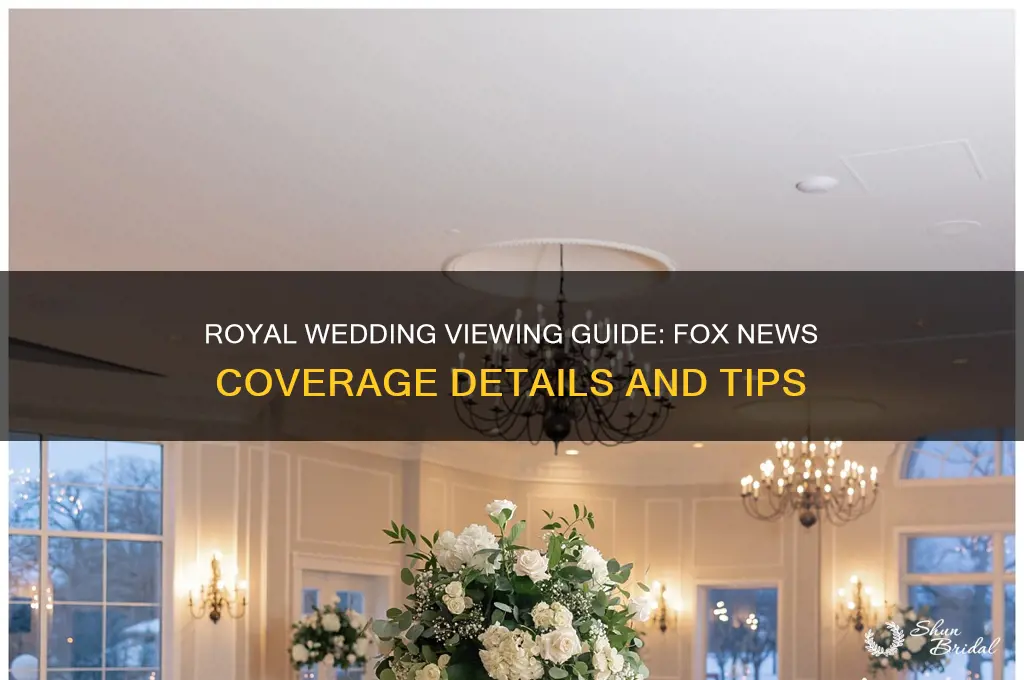 where to watch the royal wedding fox news