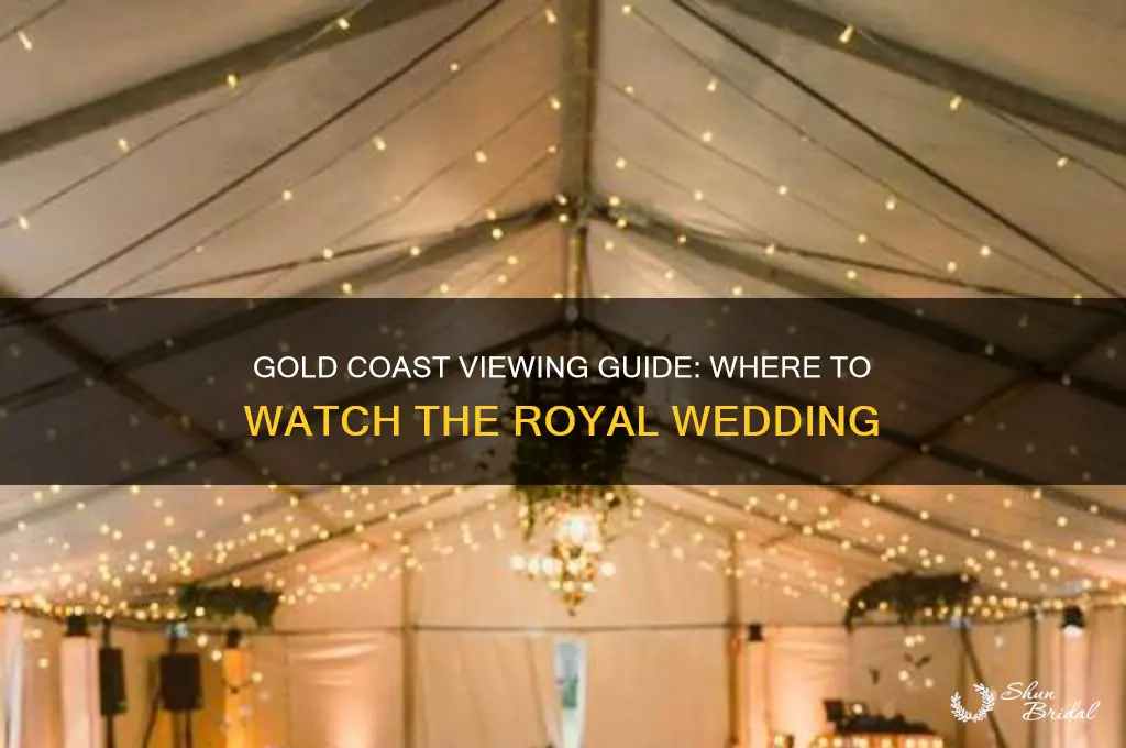 where to watch the royal wedding gold coast