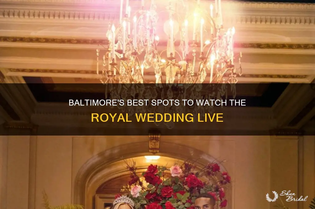 where to watch the royal wedding in baltimore md