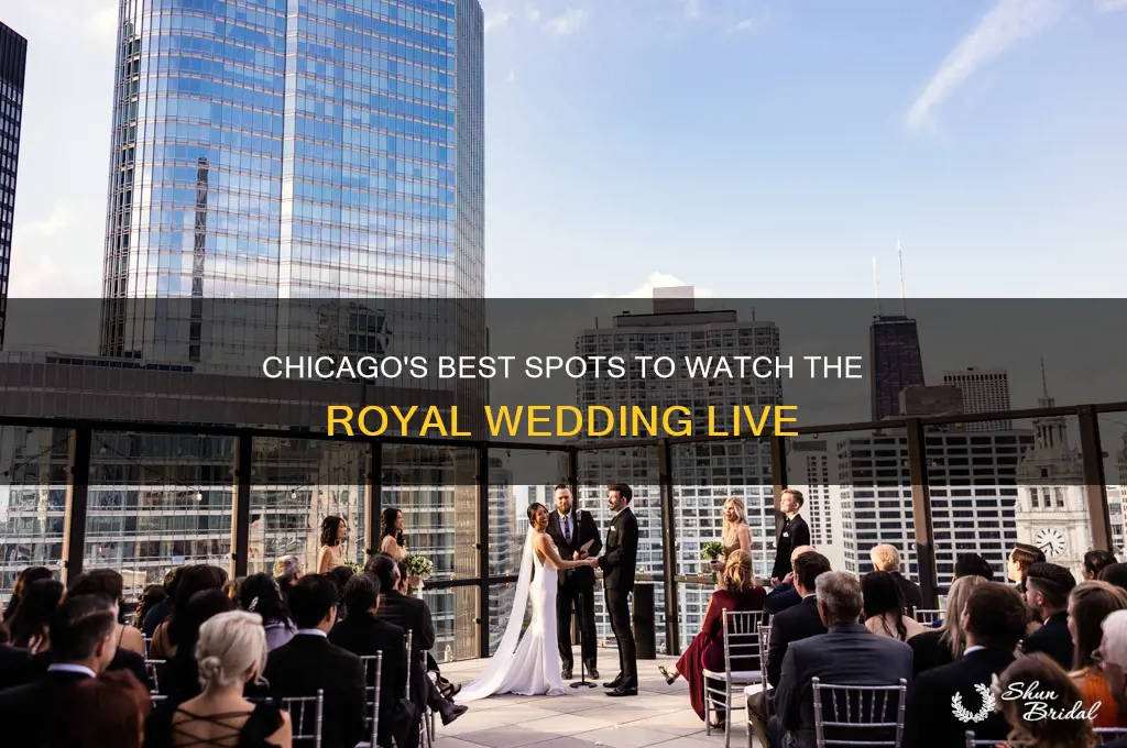 where to watch the royal wedding in chicago