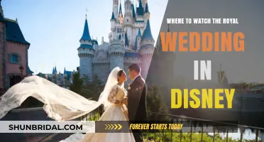 Celebrate the Royal Wedding at Disney: Best Viewing Spots