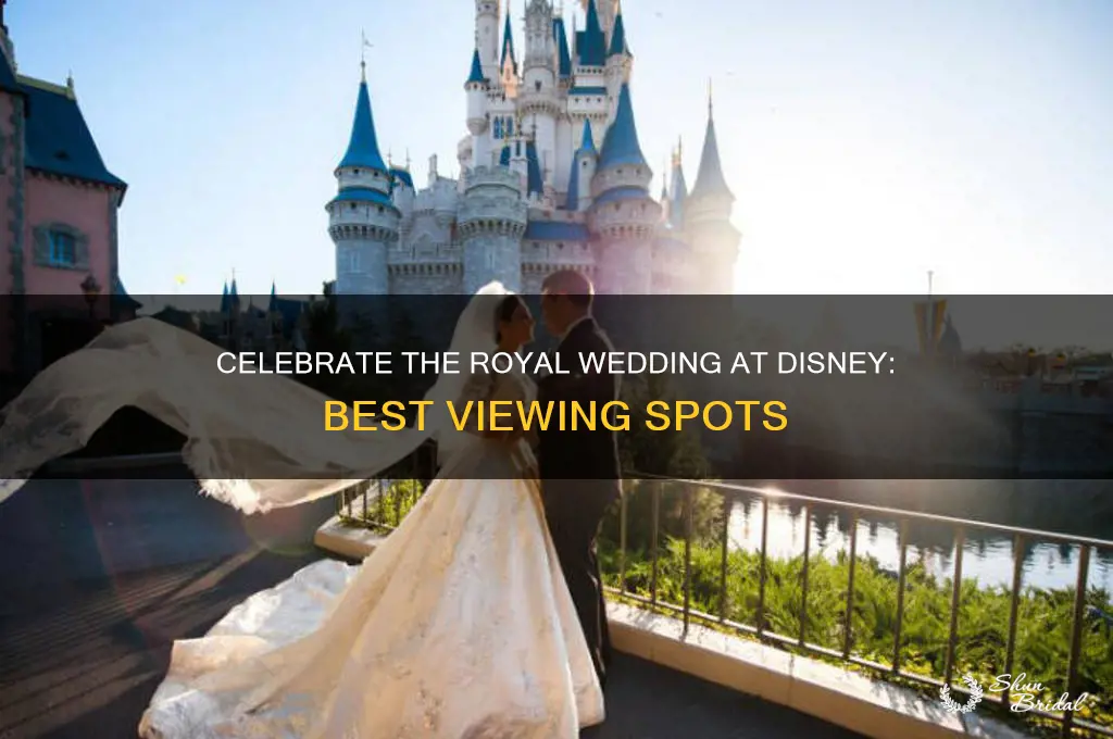 where to watch the royal wedding in disney