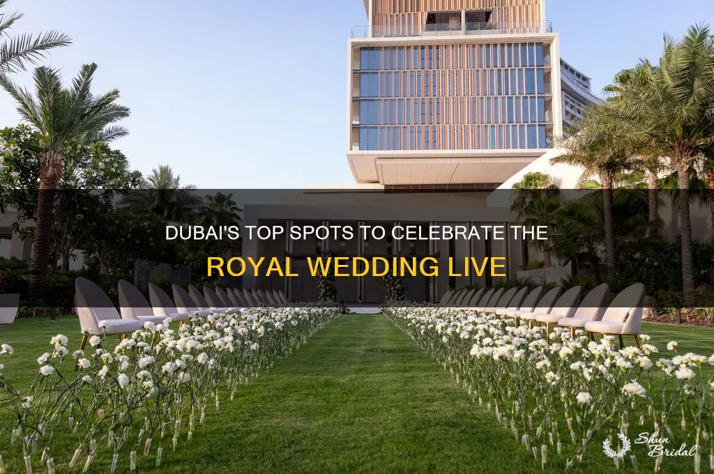 where to watch the royal wedding in dubai