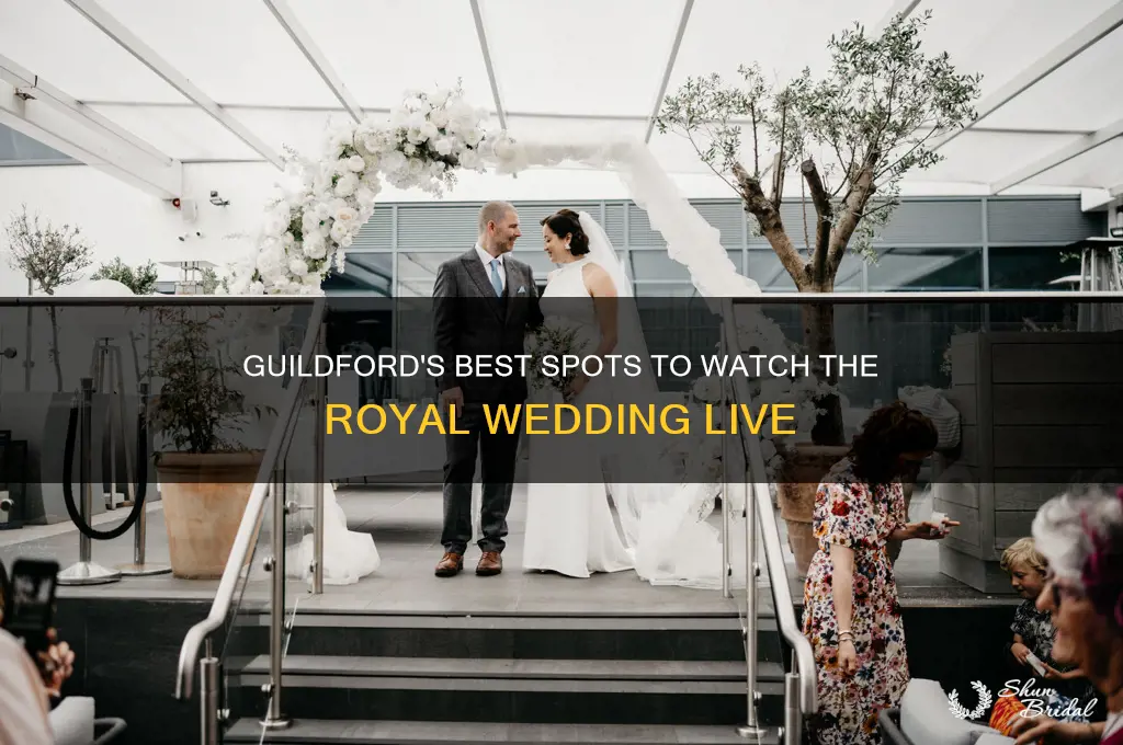 where to watch the royal wedding in guildford