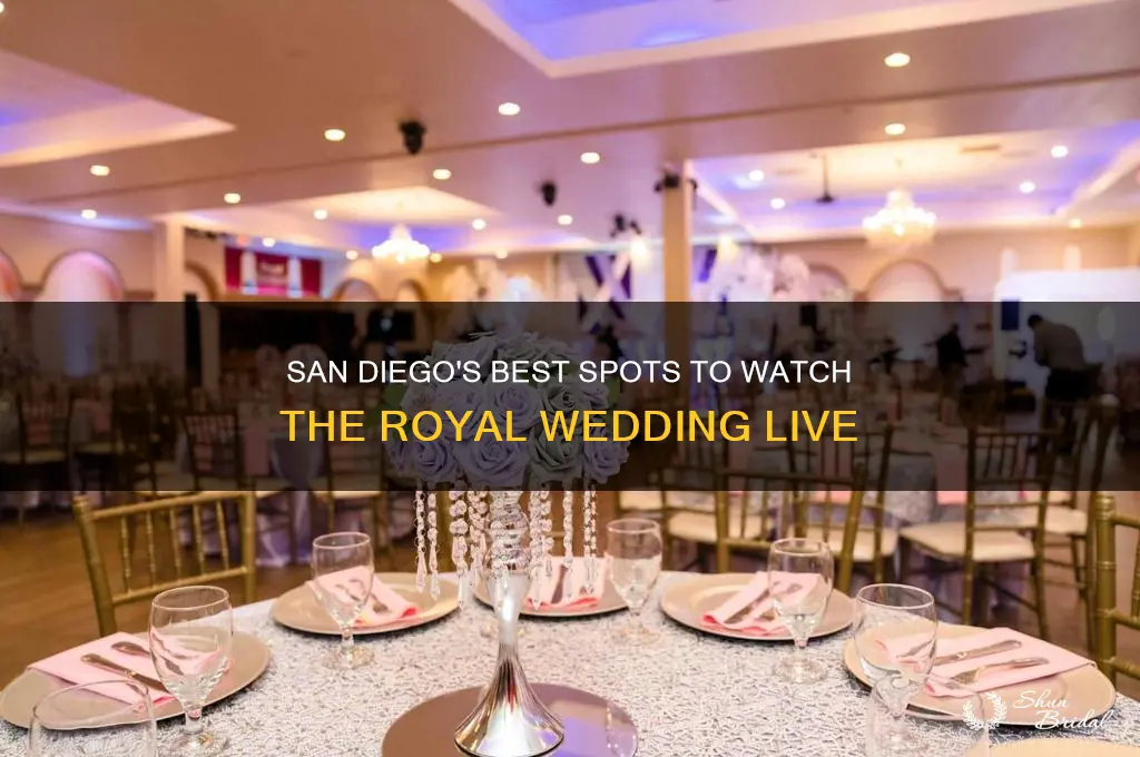 where to watch the royal wedding in san diego