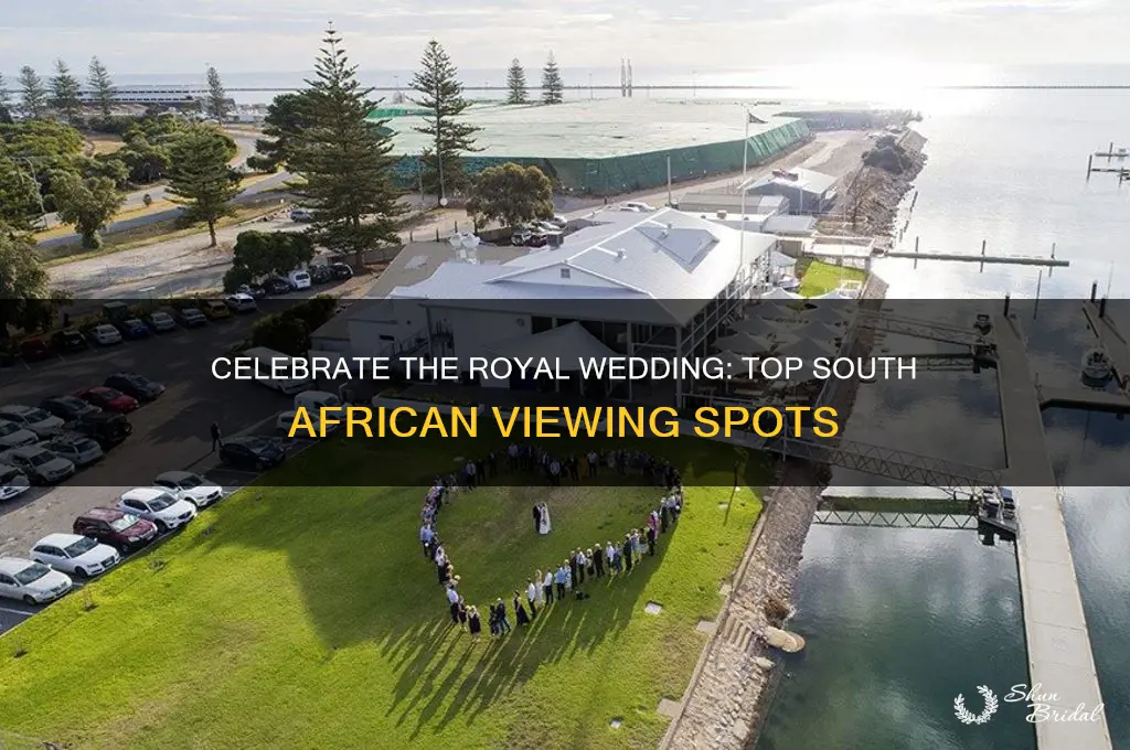 where to watch the royal wedding in south africa