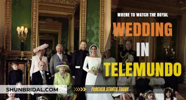 Telemundo's Royal Wedding Viewing Guide: Where to Watch Live