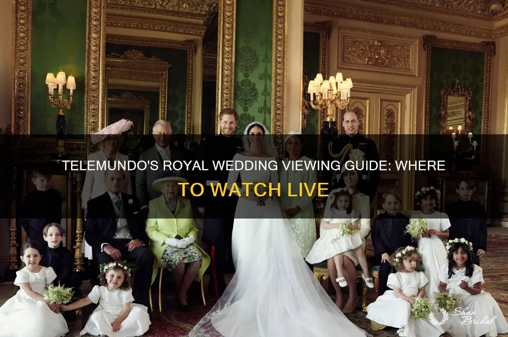 where to watch the royal wedding in telemundo