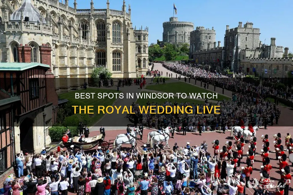 where to watch the royal wedding in windsor