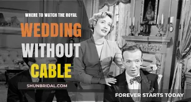 Streaming the Royal Wedding: Cable-Free Viewing Options for Fans