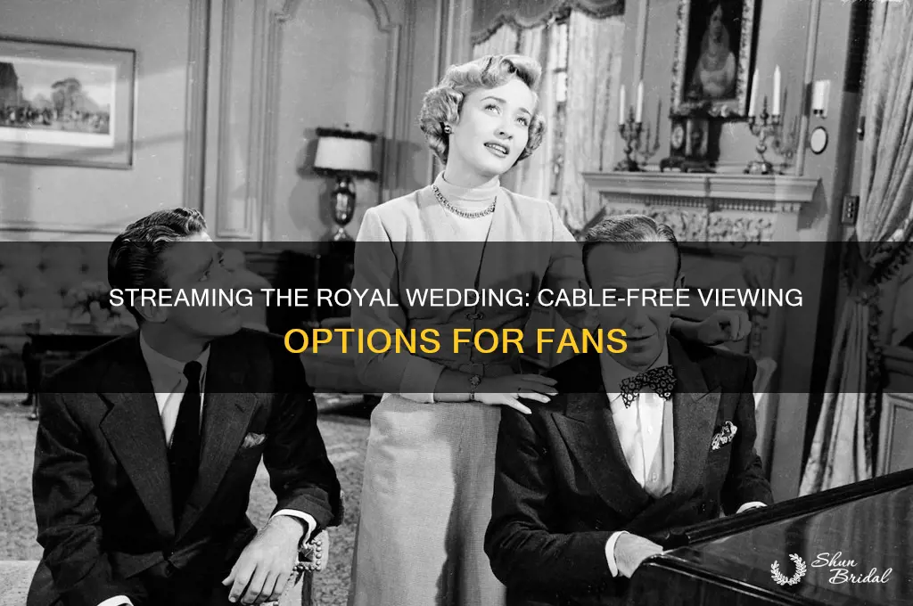 where to watch the royal wedding without cable