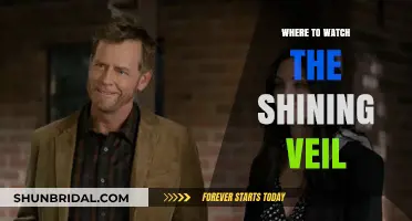 Discover the Best Platforms to Watch The Shining Veil Online
