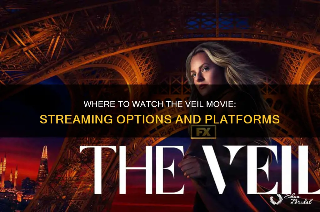 where to watch the veil movie