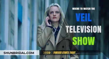 Where to Stream The Veil TV Show: Top Platforms Guide