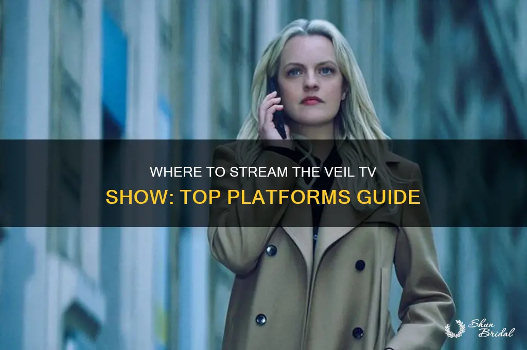 where to watch the veil television show