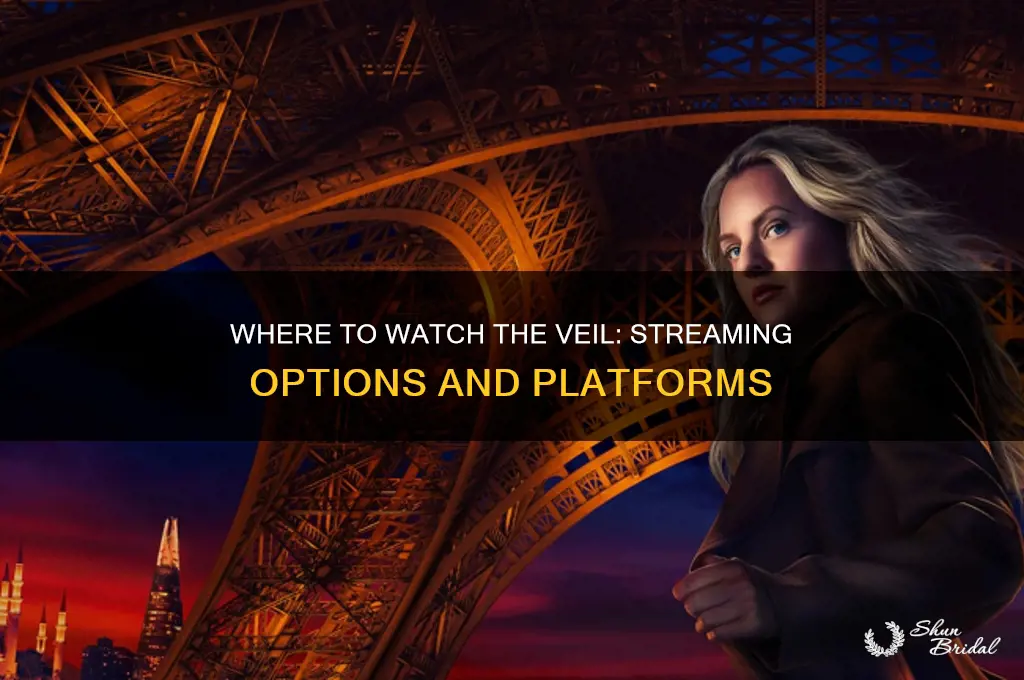 where to watch the veil
