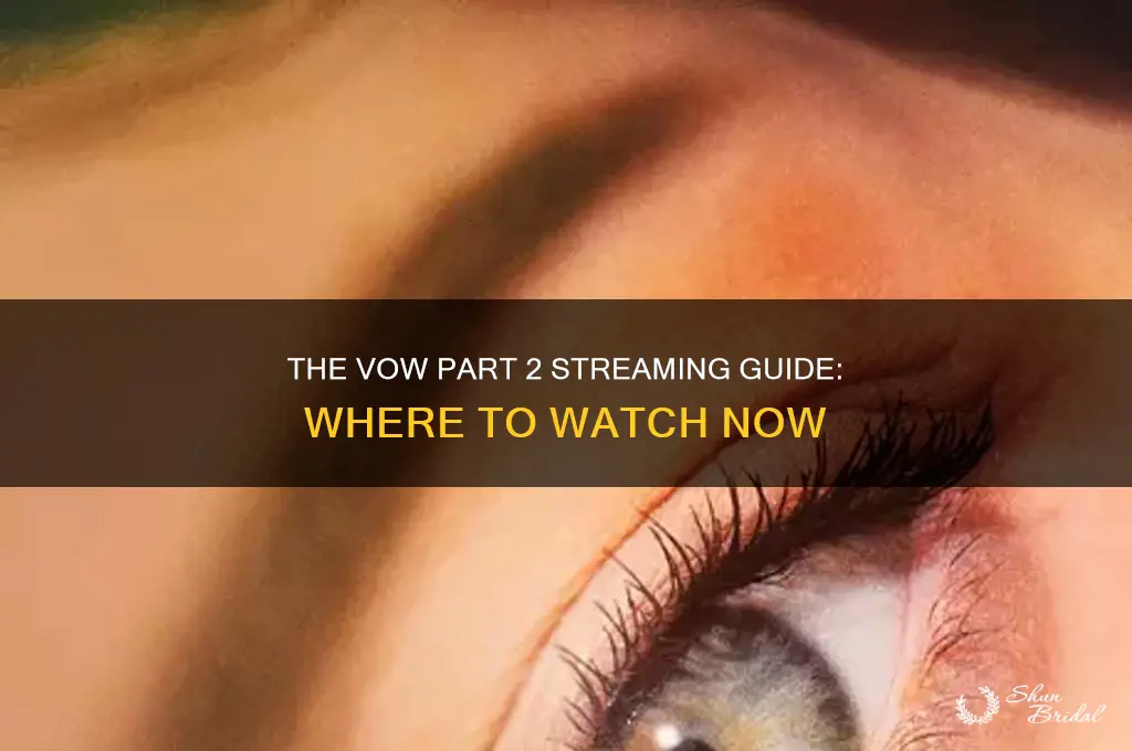where to watch the vow part 2