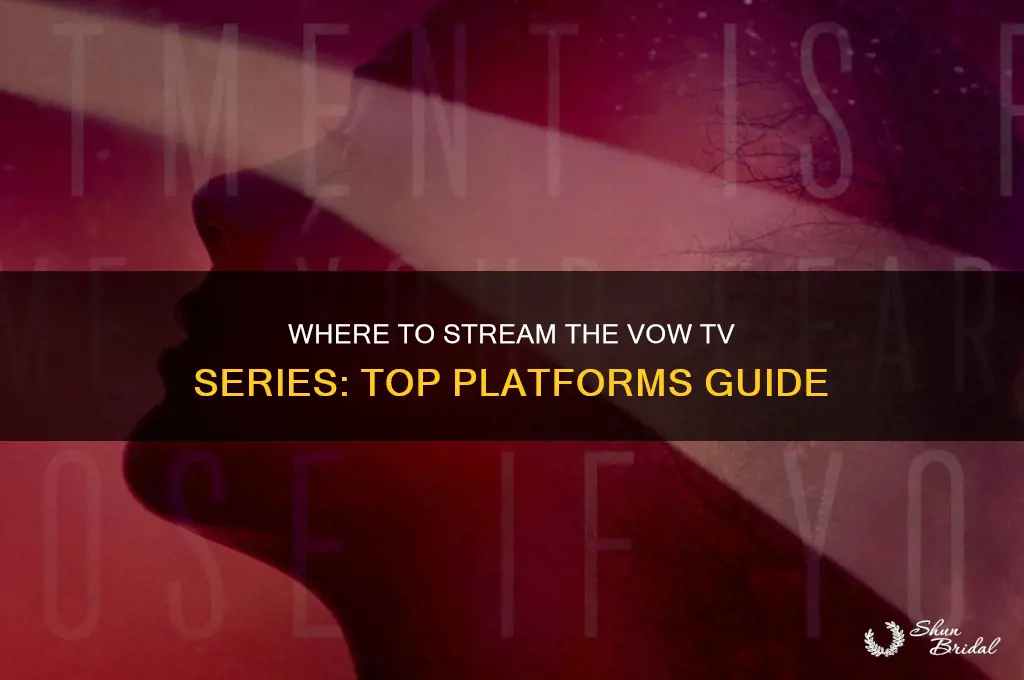where to watch the vow tv series