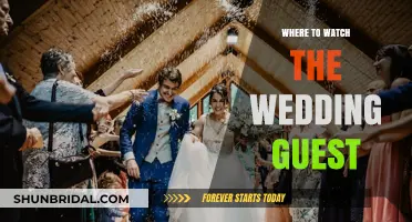 Where to Watch The Wedding Guest: Streaming & Viewing Options