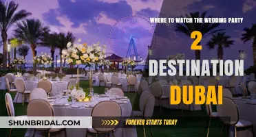 Watch 'The Wedding Party 2: Destination Dubai' Online: Streaming Guide