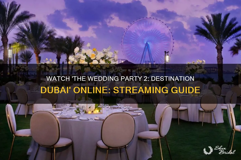 where to watch the wedding party 2 destination dubai