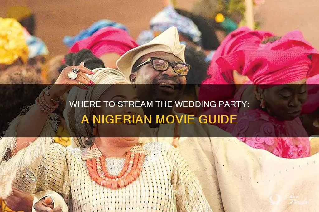 where to watch the wedding party nigerian movie