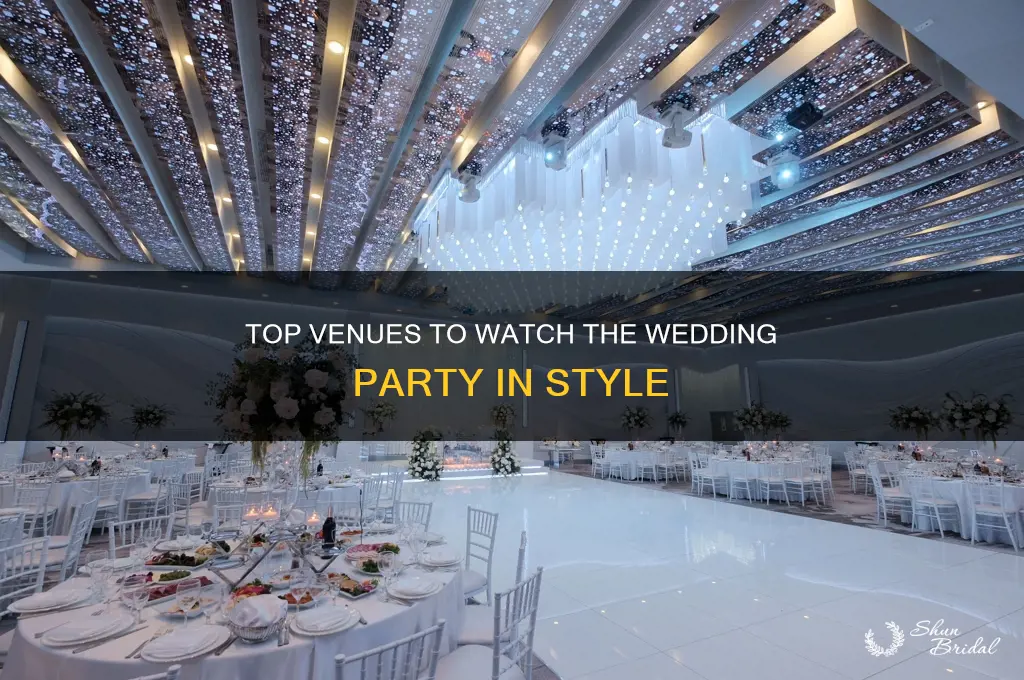 where to watch the wedding party