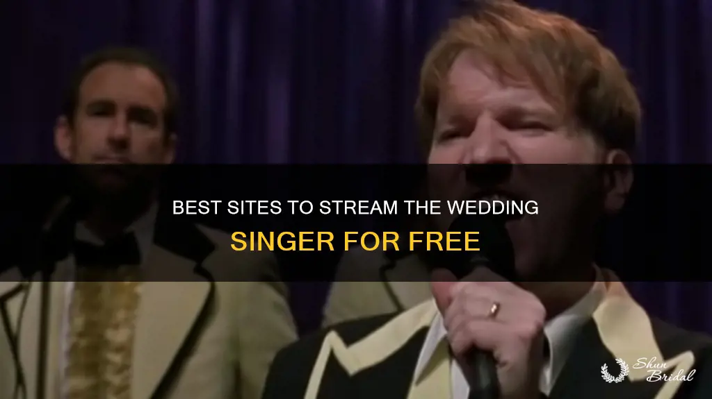 where to watch the wedding singer for free