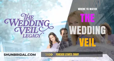 Where to Watch The Wedding Veil: Streaming Guide for Fans