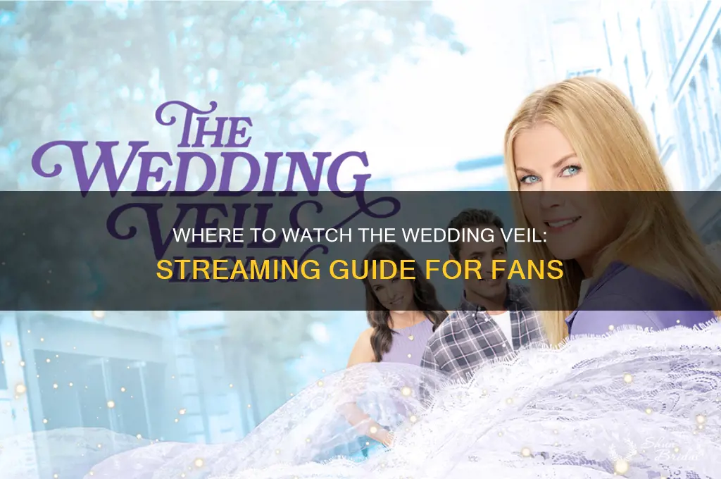 where to watch the wedding veil