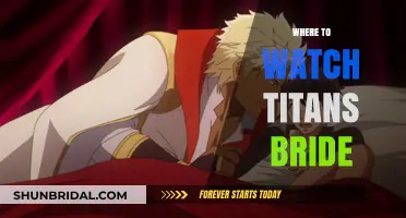 Exploring the Best Platforms to Stream Titans' Bride Online