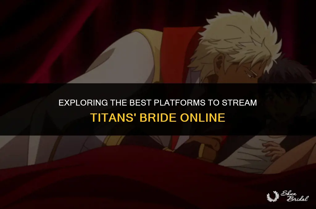 where to watch titans bride